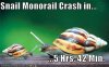 funny-pictures-snail-monorail-crash.jpg