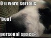 funny-dog-pictures-your-dog-wonders-about-personal-space.jpg